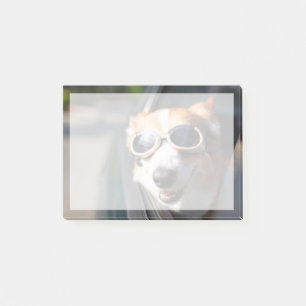 Cutest Baby Animals Corgi Goggles in the Car Post-it Notes