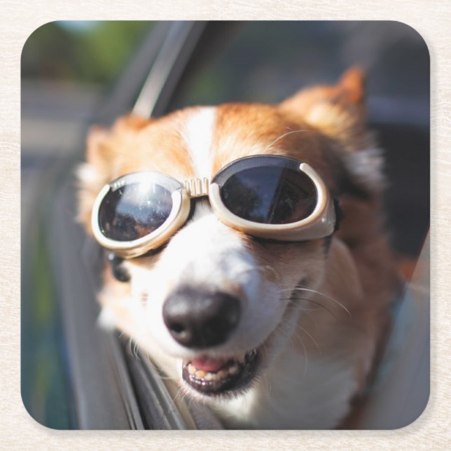 Cutest Baby Animals | Corgi Goggles in the Car Square Paper Coaster (Front)