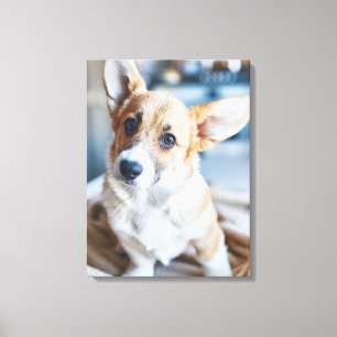 Cutest Baby Animals Corgi Head Tilt Canvas Print