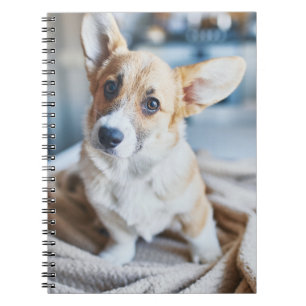 Cutest Baby Animals Corgi Head Tilt Notebook