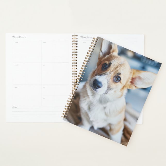 Cutest Baby Animals | Corgi Head Tilt Planner (Display)
