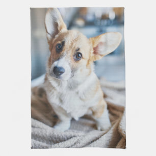Cutest Baby Animals   Corgi Head Tilt Tea Towel