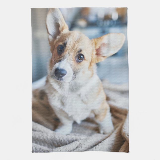 Cutest Baby Animals | Corgi Head Tilt Tea Towel (Vertical)