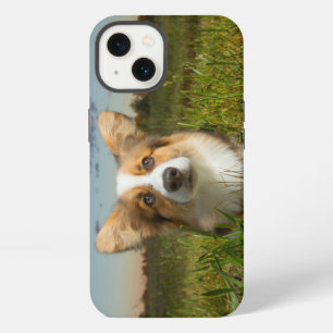 Cutest Baby Animals Corgi in Cloudy Yard iPhone 13 Case
