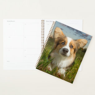 Cutest Baby Animals Corgi in Cloudy Yard Planner