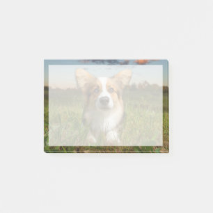 Cutest Baby Animals Corgi in Cloudy Yard Post-it Notes
