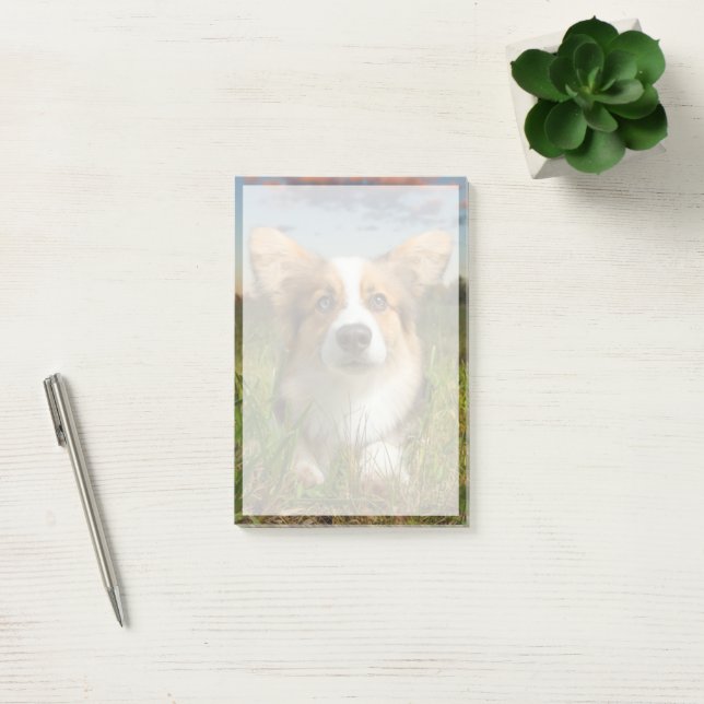 Cutest Baby Animals | Corgi in Cloudy Yard Post-it Notes (Office)