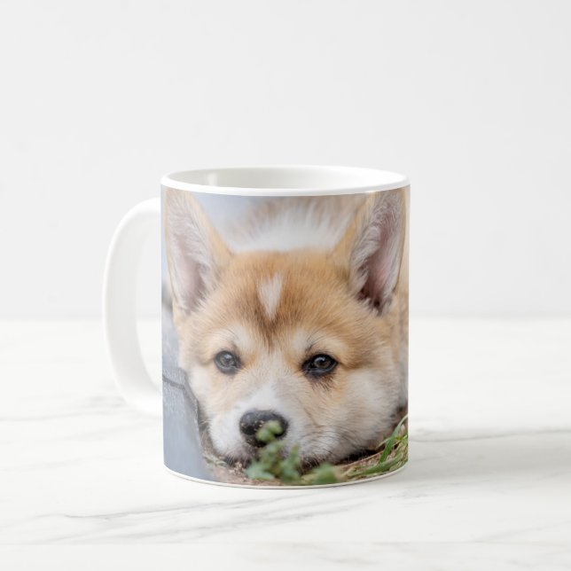Cutest Baby Animals | Corgi Laying in the Yard Coffee Mug (Front Left)