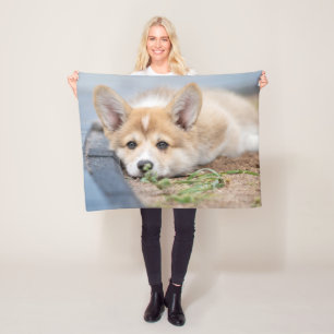 Cutest Baby Animals   Corgi Laying in the Yard Fleece Blanket