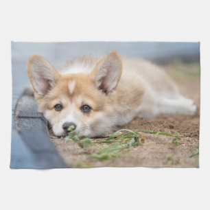 Cutest Baby Animals Corgi Laying in the Yard Tea Towel