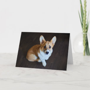 Cutest Baby Animals Corgi Looking Up Card