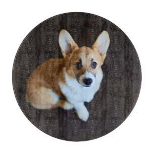 Cutest Baby Animals   Corgi Looking Up Cutting Board