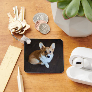 Cutest Baby Animals   Corgi Looking Up Key Ring