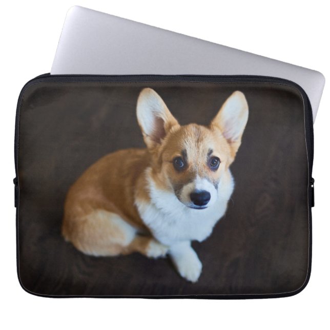 Cutest Baby Animals | Corgi Looking Up Laptop Sleeve (Front)