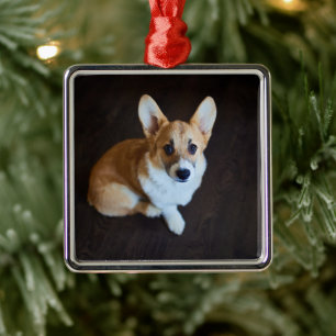 Cutest Baby Animals Corgi Looking Up Metal Tree Decoration