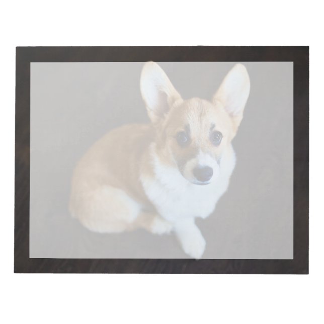 Cutest Baby Animals | Corgi Looking Up Notepad (Front)