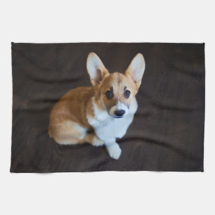 Cutest Baby Animals   Corgi Looking Up Tea Towel