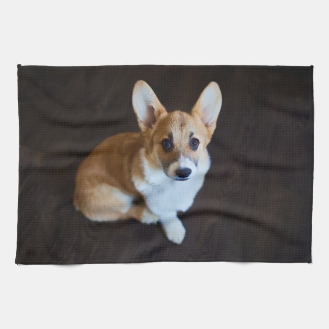 Cutest Baby Animals | Corgi Looking Up Tea Towel (Horizontal)