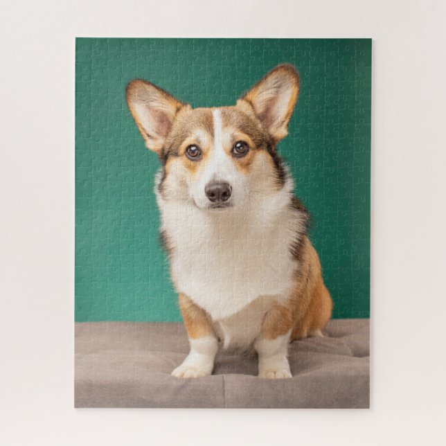 Cutest Baby Animals | Corgi on Teal Jigsaw Puzzle (Vertical)