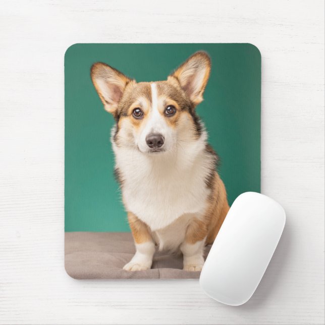 Cutest Baby Animals | Corgi on Teal Mouse Pad (With Mouse)
