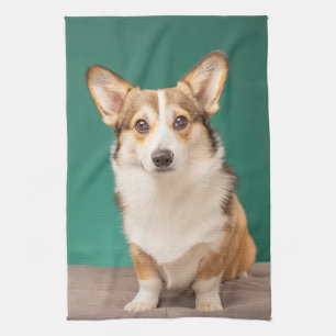 Cutest Baby Animals   Corgi on Teal Tea Towel
