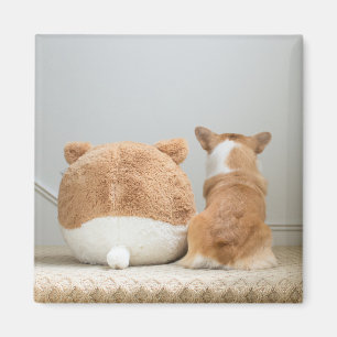 Cutest Baby Animals   Corgi & Plush Puppy Magnet