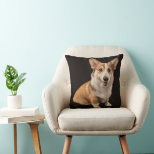 Cutest Baby Animals Corgi Portrait on Black Cushion