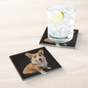 Cutest Baby Animals Corgi Portrait on Black Glass Coaster