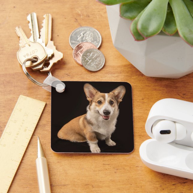 Cutest Baby Animals | Corgi Portrait on Black Key Ring (Desk)