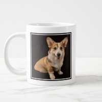 Cutest Baby Animals | Corgi Portrait on Black