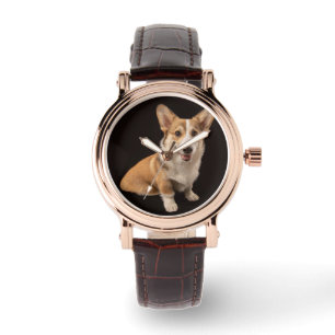 Cutest Baby Animals Corgi Portrait on Black Watch