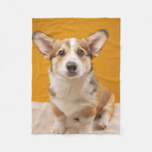 Cutest Baby Animals Corgi Portrait on Orange Fleece Blanket
