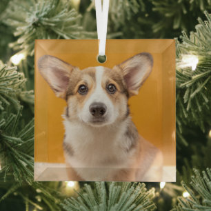 Cutest Baby Animals Corgi Portrait on Orange Glass Tree Decoration