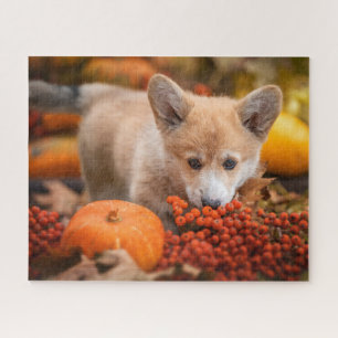 Cutest Baby Animals   Corgi Puppy  in Autumn Jigsaw Puzzle