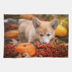 Cutest Baby Animals   Corgi Puppy  in Autumn Tea Towel