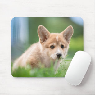 Cutest Baby Animals   Corgi Puppy in the Yard Mouse Pad