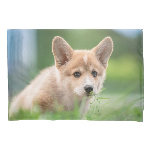 Cutest Baby Animals | Corgi Puppy in the Yard Pillowcase (Front)
