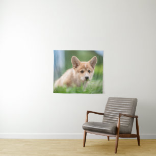 Cutest Baby Animals Corgi Puppy in the Yard Tapestry