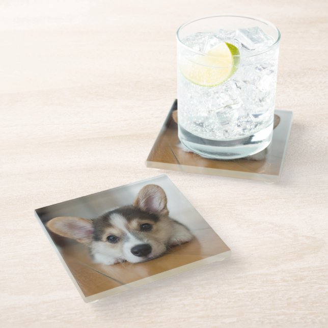 Cutest Baby Animals | Corgi Puppy Looking Glass Coaster (Angled)