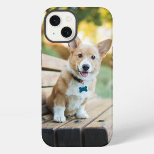 Cutest Baby Animals Corgi Puppy on a Park Bench iPhone 13 Case