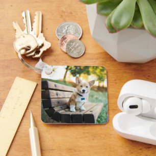 Cutest Baby Animals   Corgi Puppy on a Park Bench Key Ring