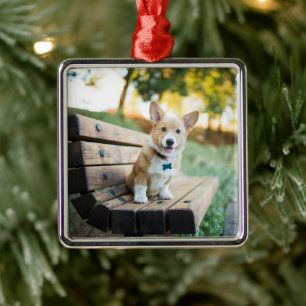 Cutest Baby Animals   Corgi Puppy on a Park Bench Metal Tree Decoration
