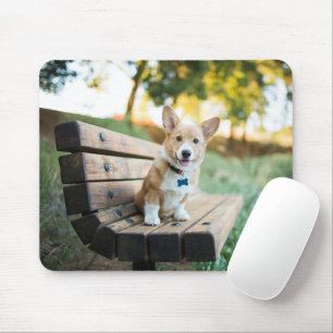 Cutest Baby Animals   Corgi Puppy on a Park Bench Mouse Pad