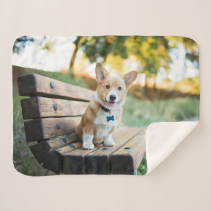 Cutest Baby Animals Corgi Puppy on a Park Bench Sherpa Blanket