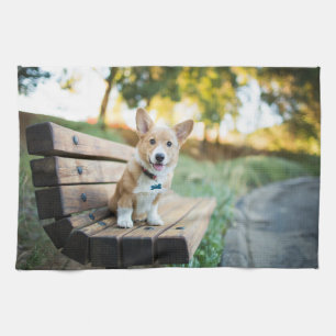 Cutest Baby Animals Corgi Puppy on a Park Bench Tea Towel