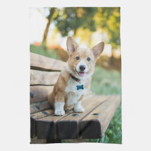 Cutest Baby Animals Corgi Puppy on a Park Bench Tea Towel