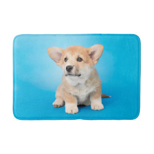 Cutest Baby Animals   Corgi Puppy on Blue Bath Mat