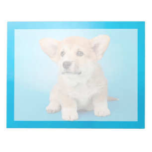 Cutest Baby Animals Corgi Puppy on Blue Notepad