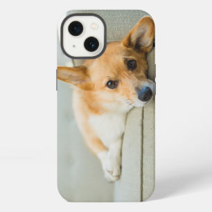 Cutest Baby Animals Corgi Puppy on Couch iPhone 13 Case