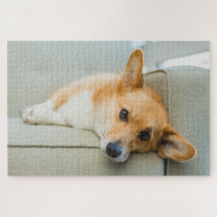 Cutest Baby Animals   Corgi Puppy on Couch Jigsaw Puzzle